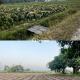 54000-sq-ft-sell-residential-land-plot-in-asrawad-khurda-indore-indore-zdloypnivk Property