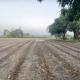 54000-sq-ft-sell-residential-land-plot-in-asrawad-khurda-indore-indore-zdloypnivk Property