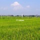 18-acre-sell-agriculture-agriculture-land-in-shalu-wardha-jxzwpghalt Property