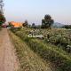 54000-sq-ft-sell-residential-land-plot-in-asrawad-khurda-indore-indore-zdloypnivk Property