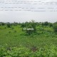 3200-sq-ft-sell-commercial-land-land-plots-in-shankarpur-nagpur-xskplqtxju Property