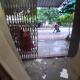 250-sq-ft-rent-lease-commercial-retail-commercial-shop-in-gayatri-nagar-nagpur-ckrcqhvjpe Property