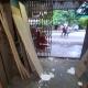 250-sq-ft-rent-lease-commercial-retail-commercial-shop-in-gayatri-nagar-nagpur-ckrcqhvjpe Property