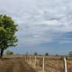 400-sq-ft-sell-agriculture-farmhouse-farmhouse-land-in-hingna-road-nagpur-tbrnspauwe Property