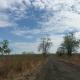 009-sq-ft-sell-agriculture-farmhouse-farmhouse-land-in-hingna-road-nagpur-egofvotilk Property